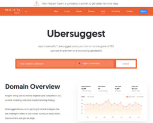 ubersuggest site colors 
